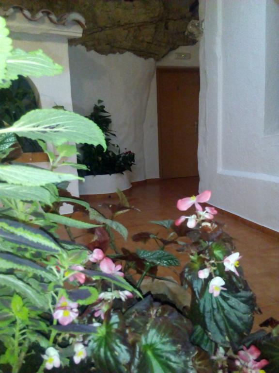 Hostal Batato Vejer de la Frontera Exterior foto