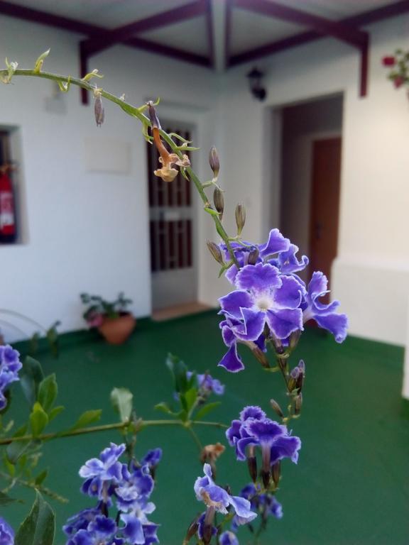 Hotel Hostal Batato Vejer de la Frontera Exterior foto